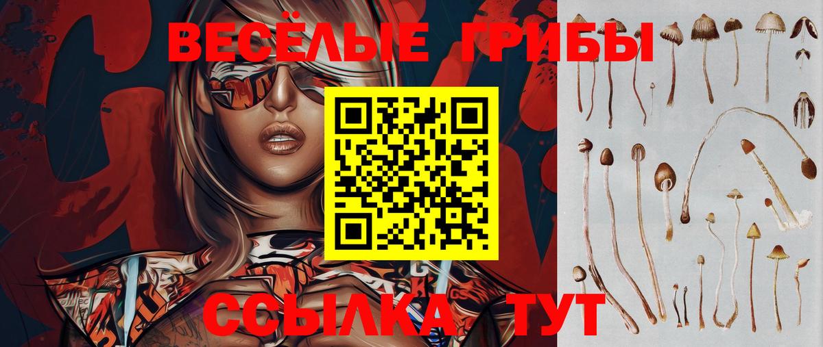 Брянск  Псилоцибиновые грибы Cubensis  Галлюциногенные грибы MAGIC MUSHROOMS  Вход с VPN 